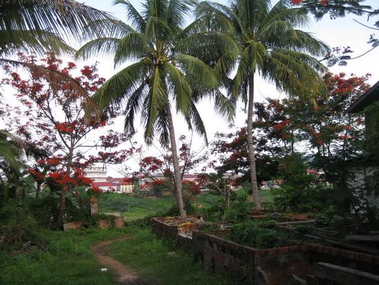 quiet path toward Khong.jpg